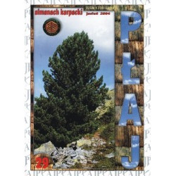 Płaj 29. Almanach karpacki jesień 2004