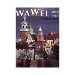 Wawel. Katedra i zamek