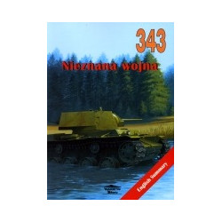 343 Nieznana wojna