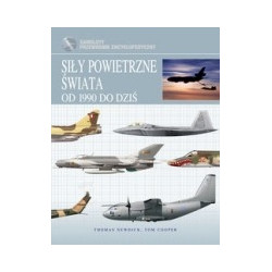 Siły powietrzne świata Od 1990 do dziś