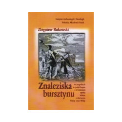 Znaleziska bursztynu w zespołach z wczesnej epoki żelaza z dorzecza Odry oraz Wisły