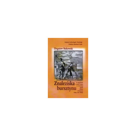 Znaleziska bursztynu w zespołach z wczesnej epoki żelaza z dorzecza Odry oraz Wisły