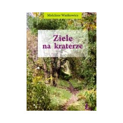 Ziele na kraterze