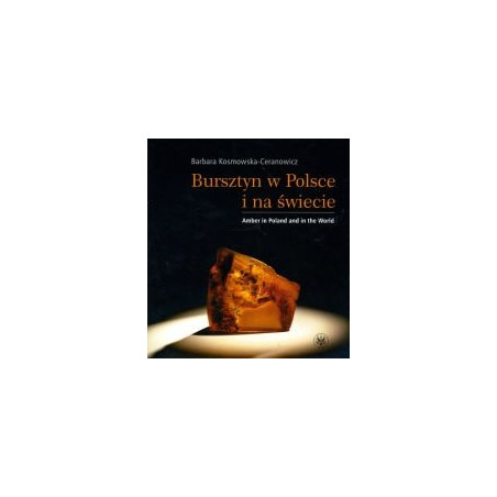 Bursztyn w Polsce i na świecie