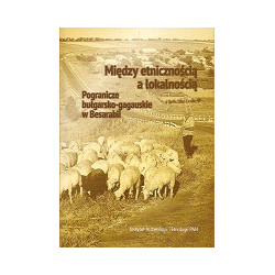 Między etnicznością a lokalnością