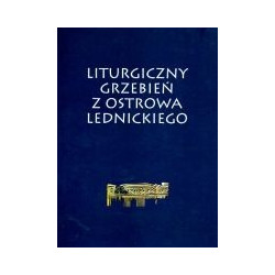 Liturgiczny grzebień z Ostrowa Lednickiego