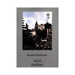 Ulica Smolna
