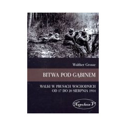 Bitwa pod Gąbinem