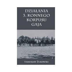 Działania 3. Konnego Korpusu Gaja