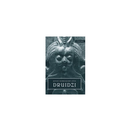 Druidzi