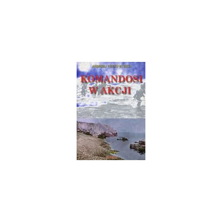 Komandosi w akcji