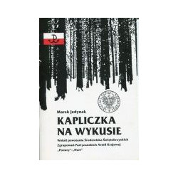 Kapliczka na Wykusie