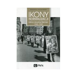 Ikony normalizacji