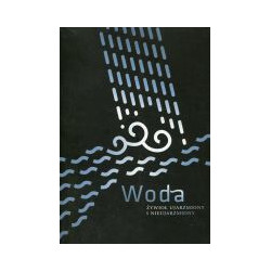 Woda - żywioł ujarzmiony i nieujarzmiony
