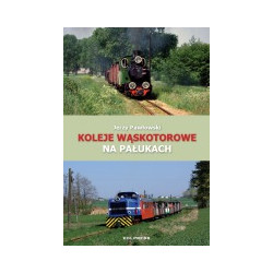 Koleje wąskotorowe na Pałukach
