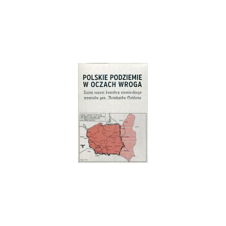 Polskie podziemie w oczach wroga