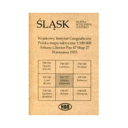 Arkusz Gliwice Pas 47 Słup 27 Polska mapa taktyczna 1:100000 ŚLĄSK