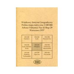 Arkusz Pabianice Pas 42 Słup 29 Polska mapa taktyczna 1:100000