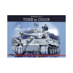 Tiger in color