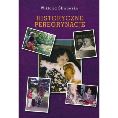 Historyczne peregrynacje. Szkice z dziejów Polaków i Rosjan w XIX wieku