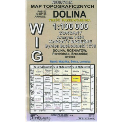 Dolina - mapa WIG skala 1:100 000