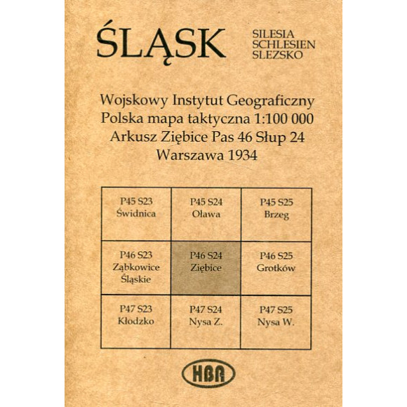 Arkusz Ziębice Pas 46 Słup 24 Polska mapa taktyczna 1:100000 ŚLĄSK