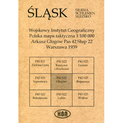 Arkusz Głogów Pas 42 Słup 22 Polska mapa taktyczna 1:100000 ŚLĄSK