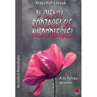 W cieniu rodzącej się Niepodległej