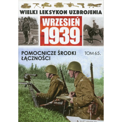 Pomocnicze środki łączności