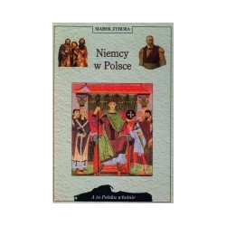 Niemcy w Polsce