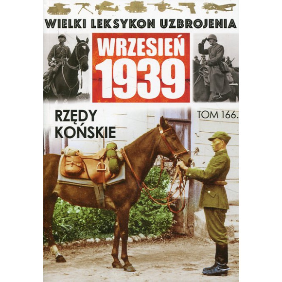 Rzędy końskie