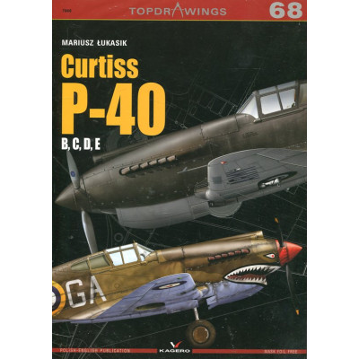 Curtiss P-40