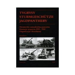 Tygrysy, Sturmgeschutze, Jagdpanthery