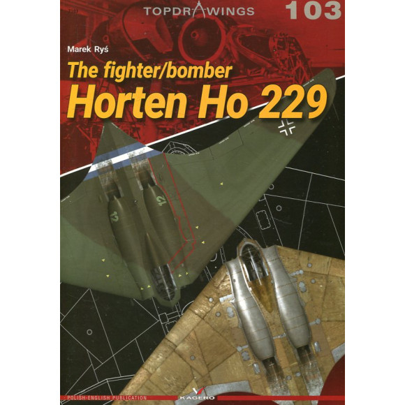 The fighter/ bomber Horten Ho 229