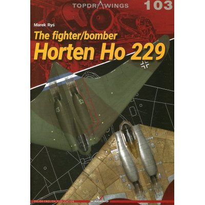 The fighter/ bomber Horten Ho 229