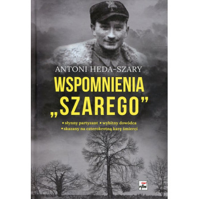 Wspomnienia Szarego