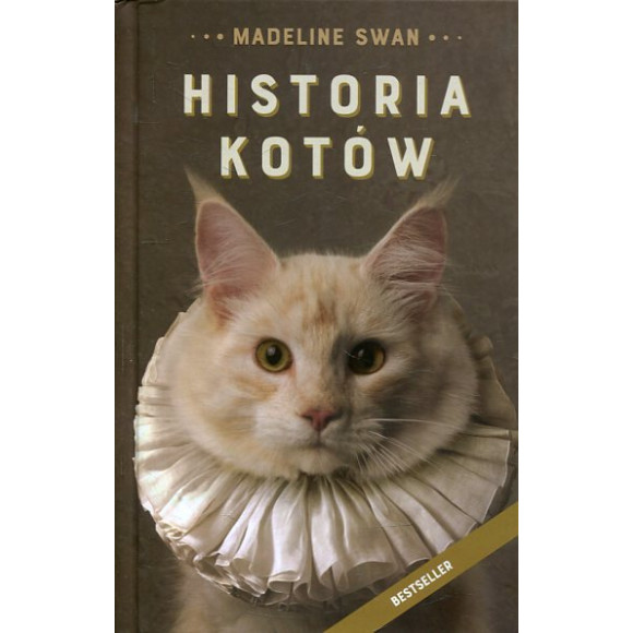 Historia kotów