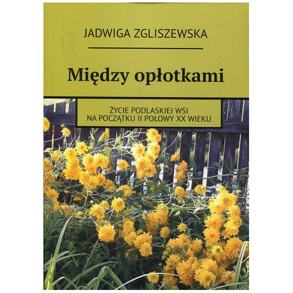 Między opłotkami