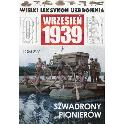 Szwadrony pionierów