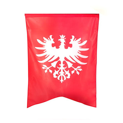 Flaga powstania wielkopolskiego