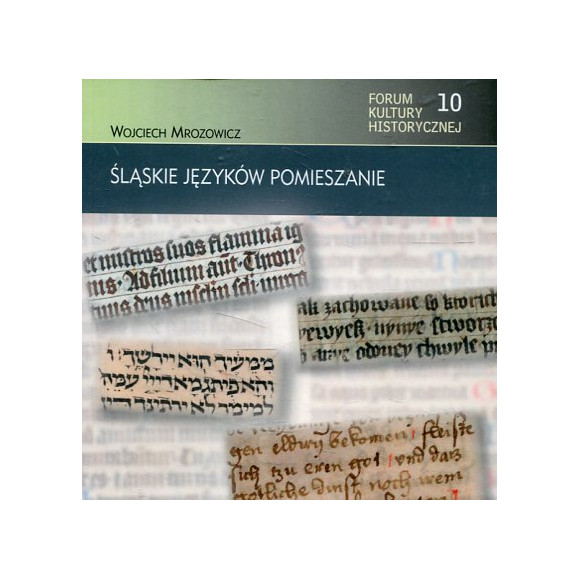 Śląskie języków pomieszanie