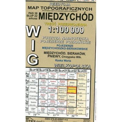 Międzychód - mapa WIG w skali 1:100 000