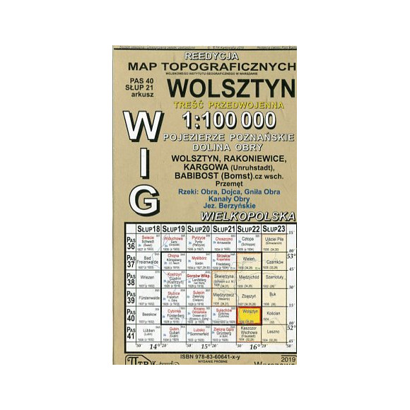 Wolsztyn - mapa WIG w skali 1:100 000