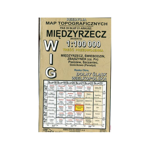 Międzyrzecz - mapa WIG w skali 1:100 000