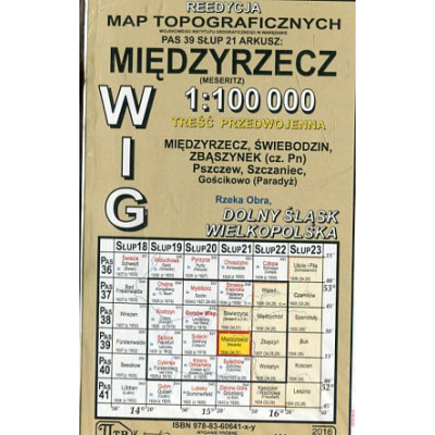 Międzyrzecz - mapa WIG w skali 1:100 000