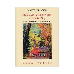 Między Niemnem a Dźwiną