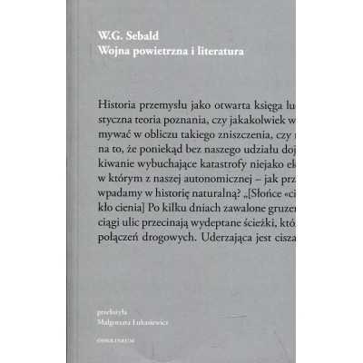 Wojna powietrzna i literatura