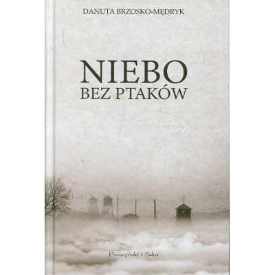 Niebo bez ptaków