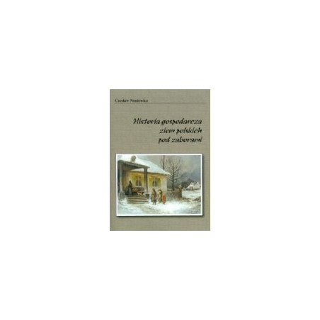 Historia gospodarcza ziem polskich pod zaborami