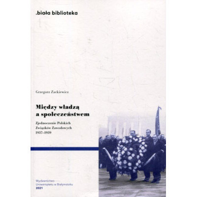 Między władzą a społeczeństwem